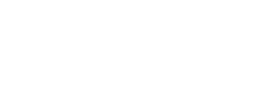 Rootella Performance