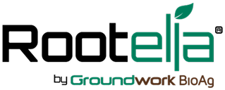 Rootella by Groundwork BioAg