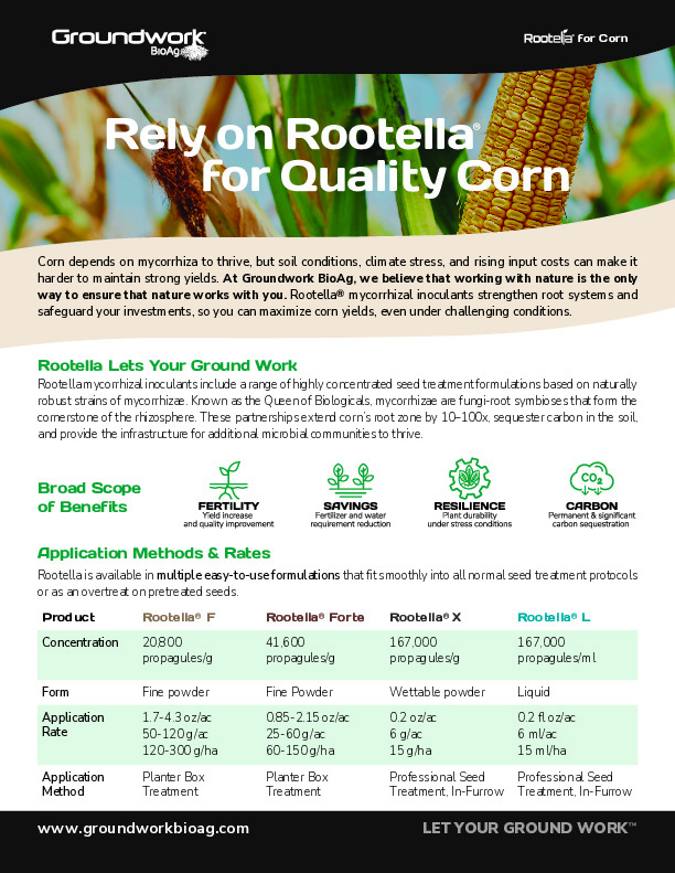 GW241003_Rely on Rootella for Quality Corn-Ltr-PP_DIGITAL