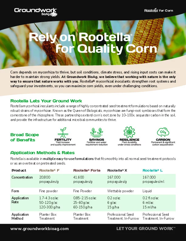 GW241003_Rely on Rootella for Quality Corn-Ltr-PP_DIGITAL