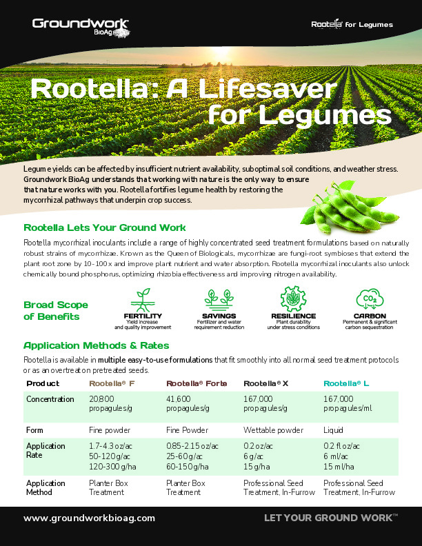 GW241004_Rootella A Lifesaver for Legumes-Ltr-PP_DIGITAL
