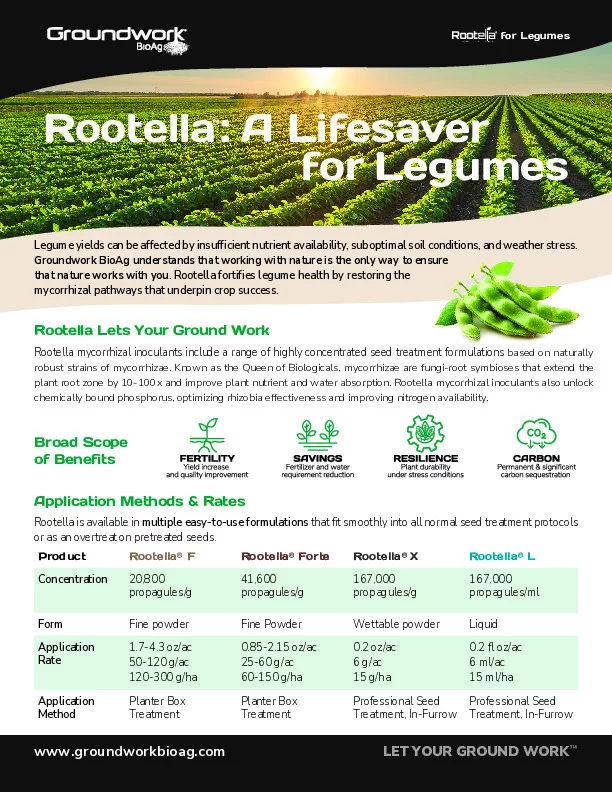 GW241004_Rootella A Lifesaver for Legumes-Ltr-PP_DIGITAL