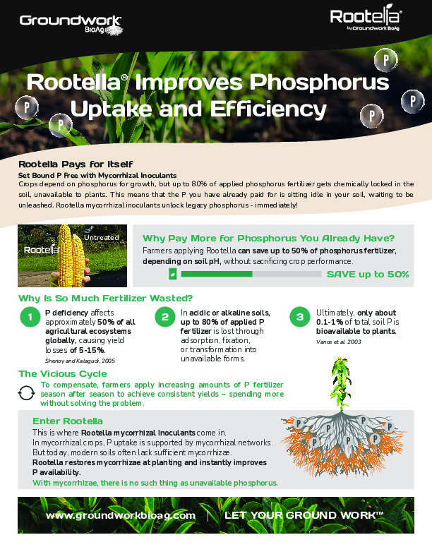 Rootella Improves Phosphorus Uptake and Efficiency_US_LETTER_DIGITAL