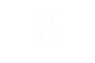 Inspired by Mycorrhiza